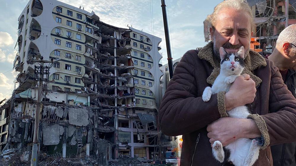 Galeria Sitesi’nde kurtarılan kedi sayısı 12’ye çıktı