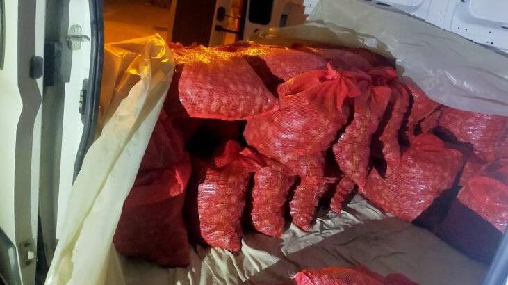 Çanakkale’de değeri 2 milyon TL olan akivades ele geçirildi