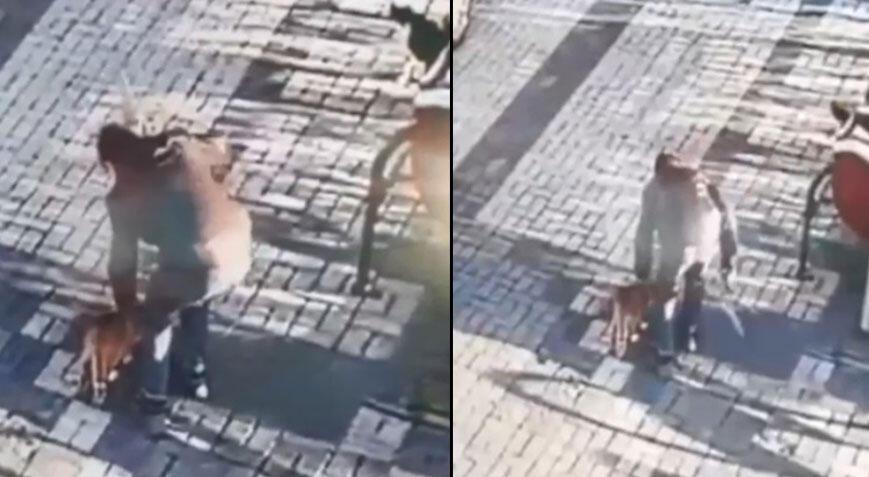 Kayseri’de dehşet! 14 yaşındaki çocuğun kediye malalı eziyeti