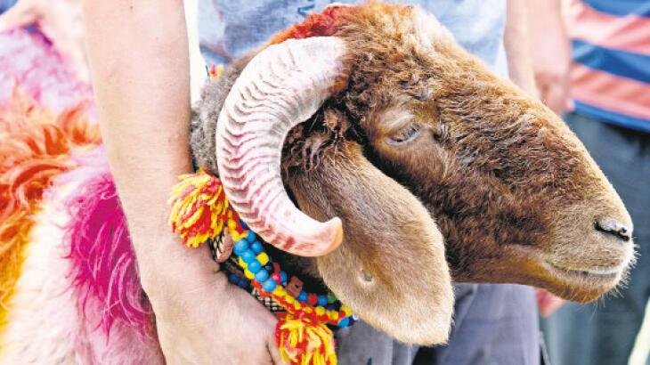 Sokakta kurban kesip, atık gömene 10.319 TL ceza