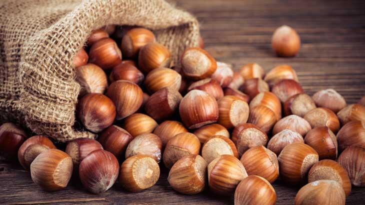 Ordu’da fındık toplama işçi ücreti 448 TL olarak belirlendi