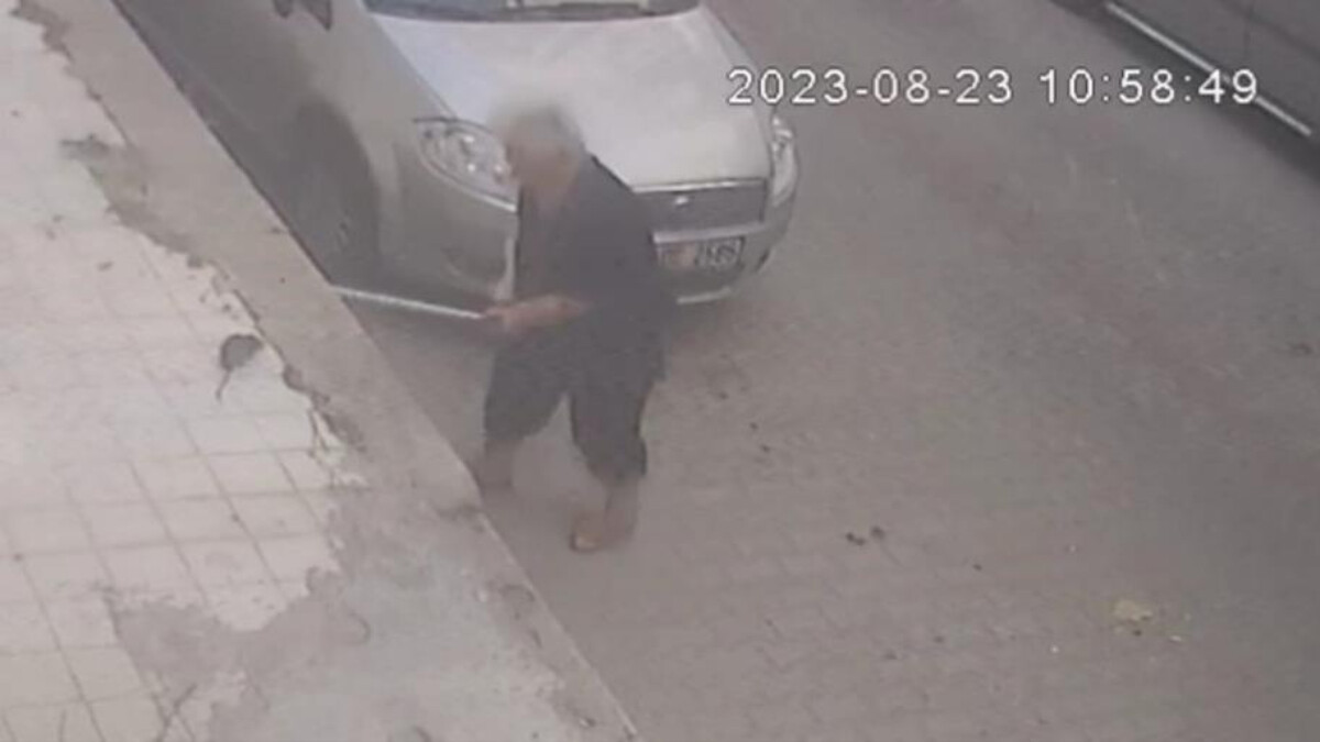 İzmir’de şaşırtan olay: Fare elini ısırdı, hastanelik oldu