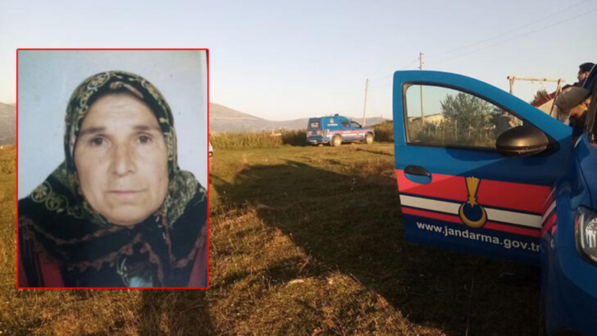 Ordu’da büyükbaşın saldırdığı yaşlı kadın öldü