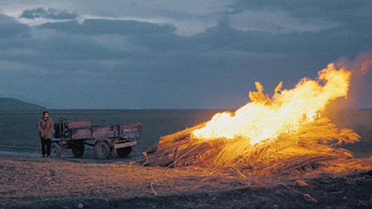 Hasatı tek bir sinemada yapacak