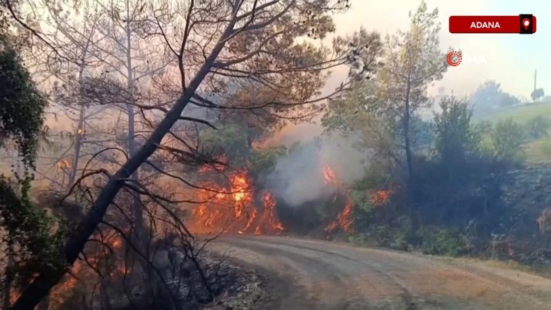 Adana’da oran yangını: Tedbir amaçlı 10 ev tahliye edildi