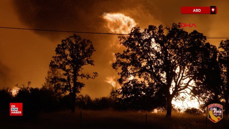 Kaliforniya’da orman yangını: Eyaletteki en büyük 7’nci yangın oldu
