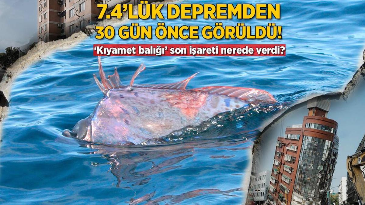 7.4’lük depremden 30 gün önce görüldü! ‘Kıyamet balığı’ son işareti nerede verdi?