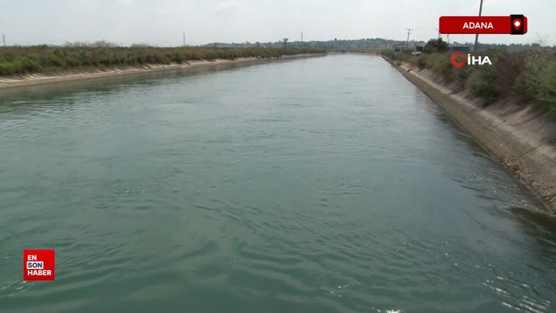 Adana’da çiftçiye su yok, ekim yapmayın uyarısı