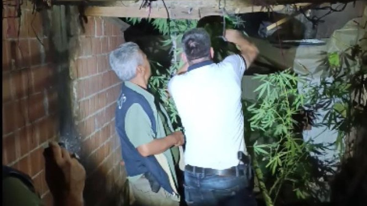 Aydın’da bahçesinde Hint keneviri bulunan şüphelinin savunması