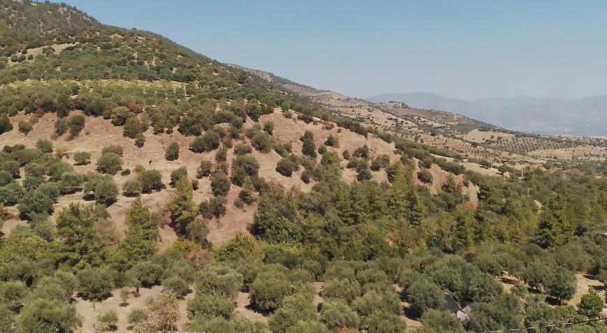 Aydın’da patlama paniği! ‘Meteor olabilir’