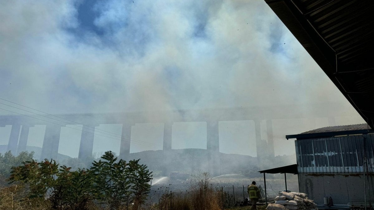 Balıkesir’de çiftlik yangını söndürüldü
