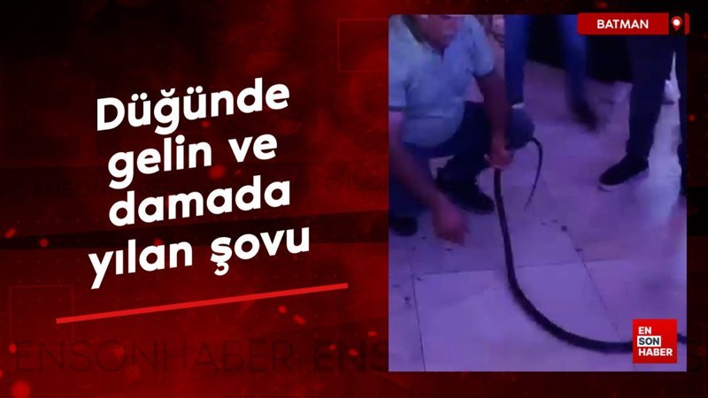 Batman’da düğünde yılan avcısından unutulmaz şov