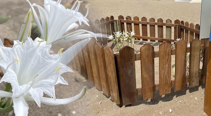 Dikkat! Cezası 387 bin 141 TL