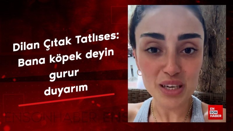 Dilan Çıtak Tatlıses: Bana köpek deyin