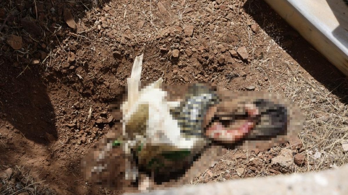 Elazığ’da mezarlıktan poşete sarılı bebek cesedi çıkarıldı
