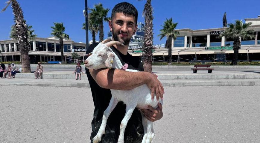 Göreni şaşırtan olay! Denizde birlikte yüzüyor, beraber film izliyorlar