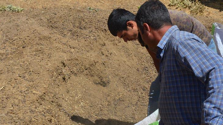 Hayvan yetiştiricilerinin ek gelir kapısı: Gübre satışı!