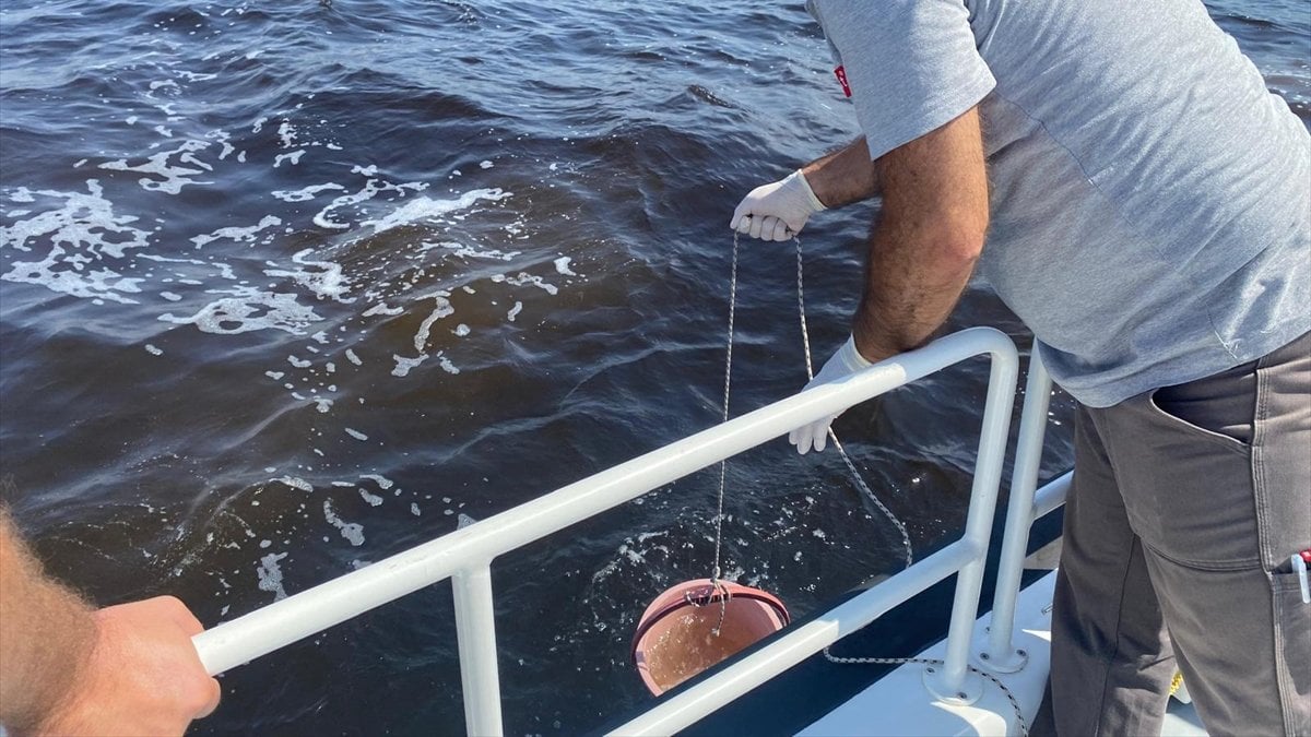 İzmir Körfezi’nde alarm: Çevre Bakanlığı balık ölümlerini inceliyor