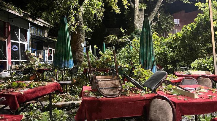 İzmir’de korkunç olay! Asırlık ağaç ortalığı savaş alanına çevirdi! Yaralılar var