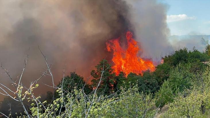 İznik’te orman yangını! 6 uçak ve 3 helikopter yangına müdahale ediyor