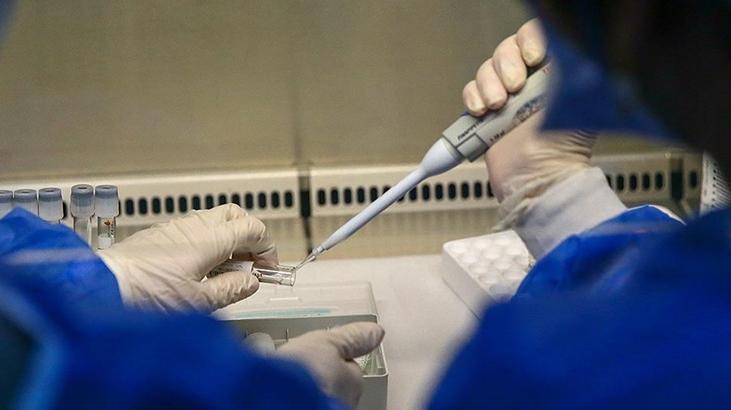 Maymun çiçeği ile ilgili merak edilen sorular! Evcil hayvana bulaşır mı?