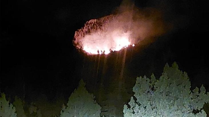 Mersin Erdemli’de orman yangını çıktı