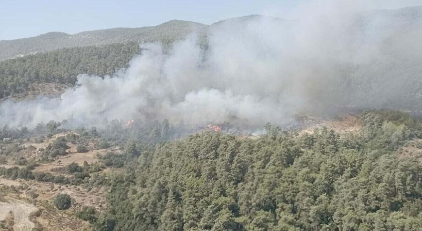 Muğla’da orman yangını! Ekipler müdahale ediyor