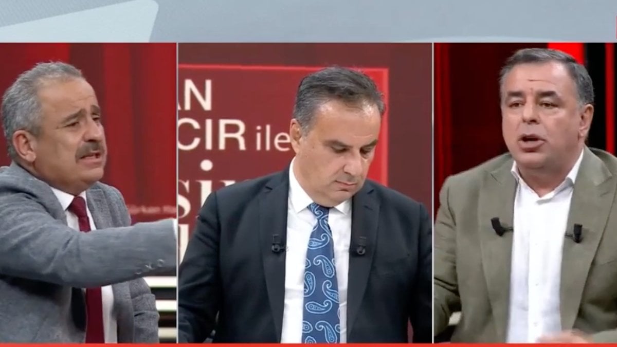 Sokak köpekleri düzenlemesi TBMM’de kabul edildi: Canlı yayında sahiplenme tartışması