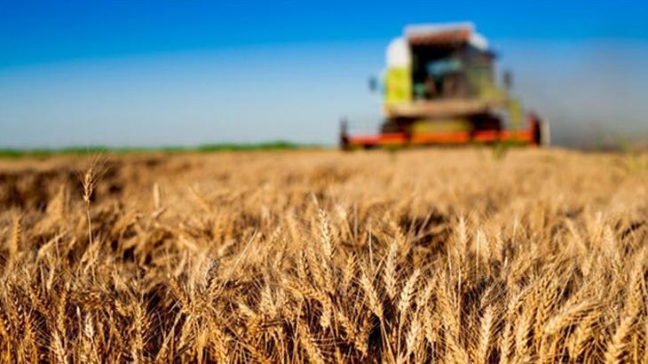 Tarımsal destekleme ödemeleri bugün hesaplara yatıyor