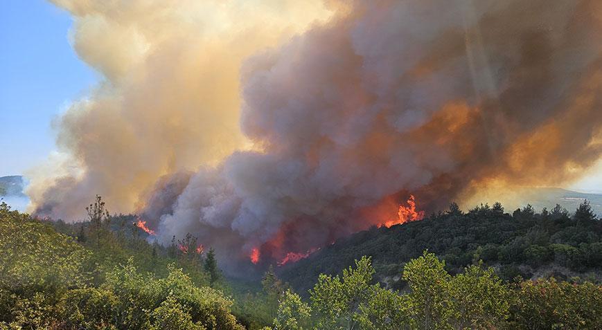 Yangın haberleri peş peşe geliyor! Çanakkale’de alevlerle mücadele