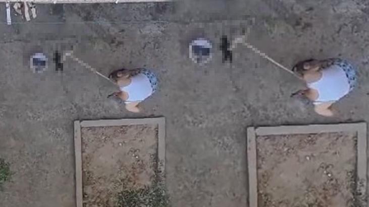 Yavru kedileri süpürge sapıyla öldürmüştü! İfadesi ortaya çıktı