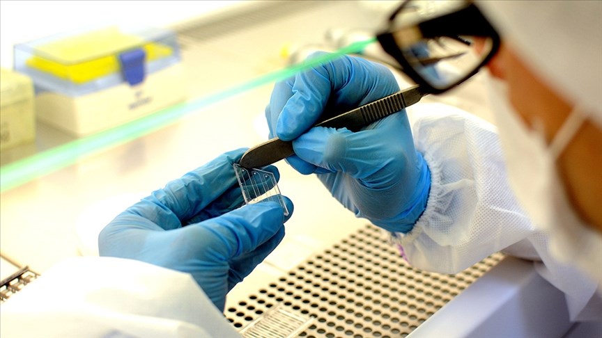 Yeni yapay zeka aracı kanser hücrelerini nano ölçekte tespit edebilecek