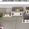 Eve giren jandarmalar şoke oldu! Yılan, örümcek, kertenkele…